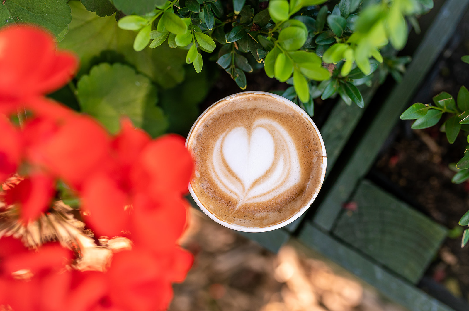 Riverbank Coffee Ltd